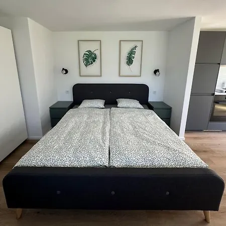 Am Ossiacher 公寓 *